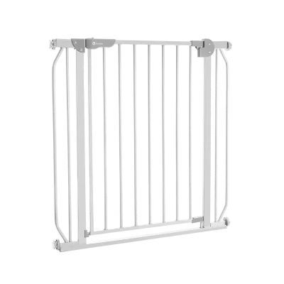 Aizsargvārti Lionelo Truus Slim, Pelēki