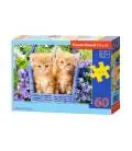 CASTORLAND PUZLE GINGER KITTENS 60 DET. 5g+